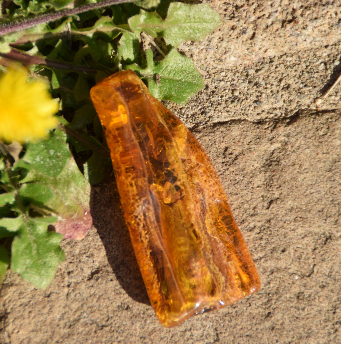 MJ Baltica, pietra libera, Ambra naturale Baltica, con inclusioni, insetti, da incastonare, naturale, BW097