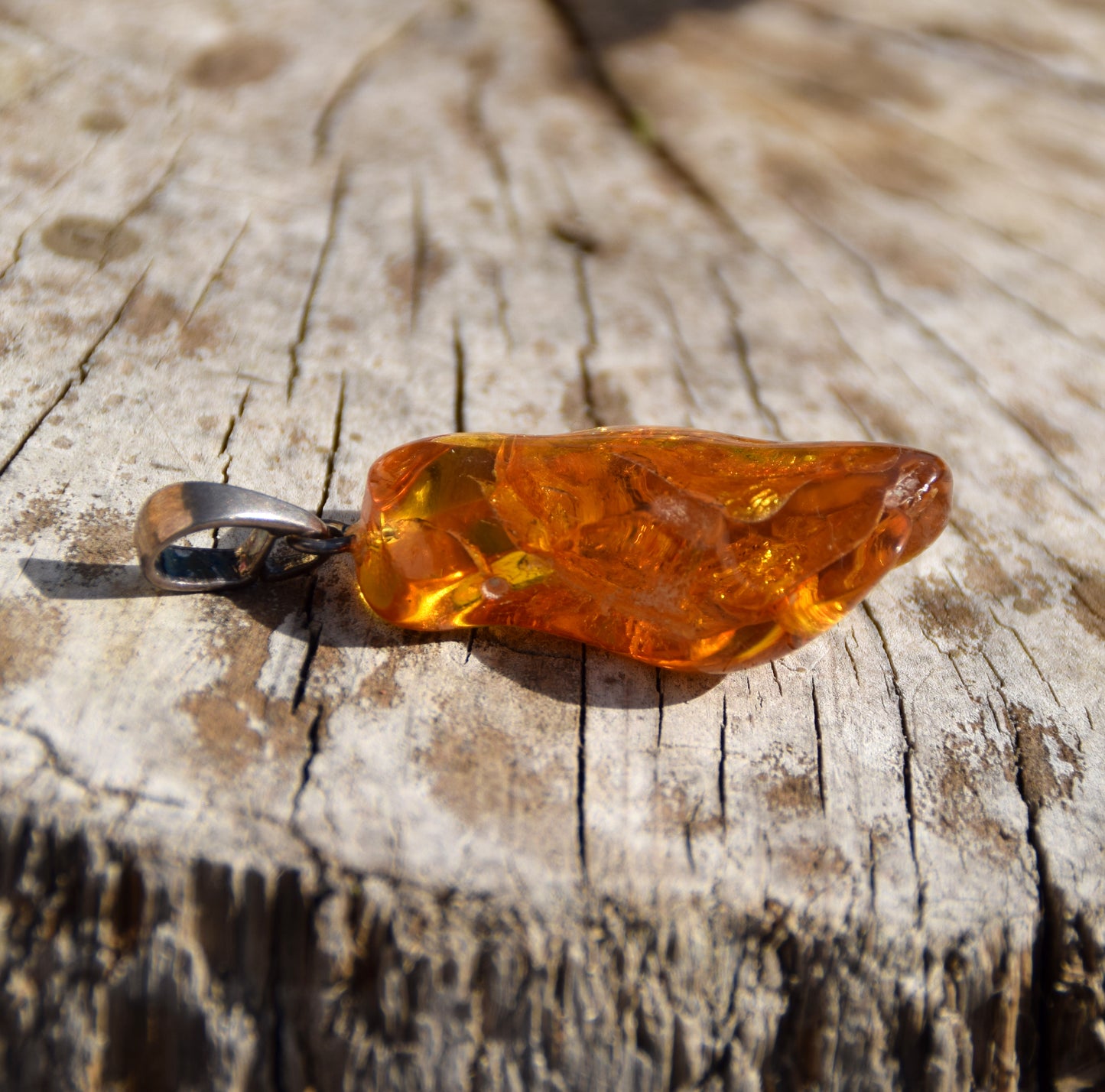 MJ Baltica, ciondolo, Ambra naturale Baltica, Argento 925, inclusioni, insetti, preistorici, antichi, BW105