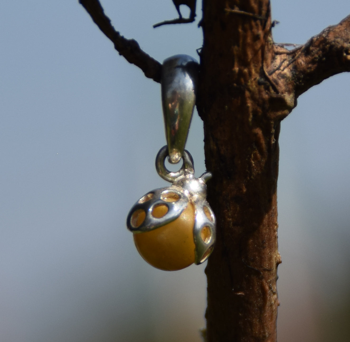 MJ Baltica, ciondolo, Ambra naturale Baltica, Argento 925, coccinella, artigianale, dolce, ambra imperiale, BW140