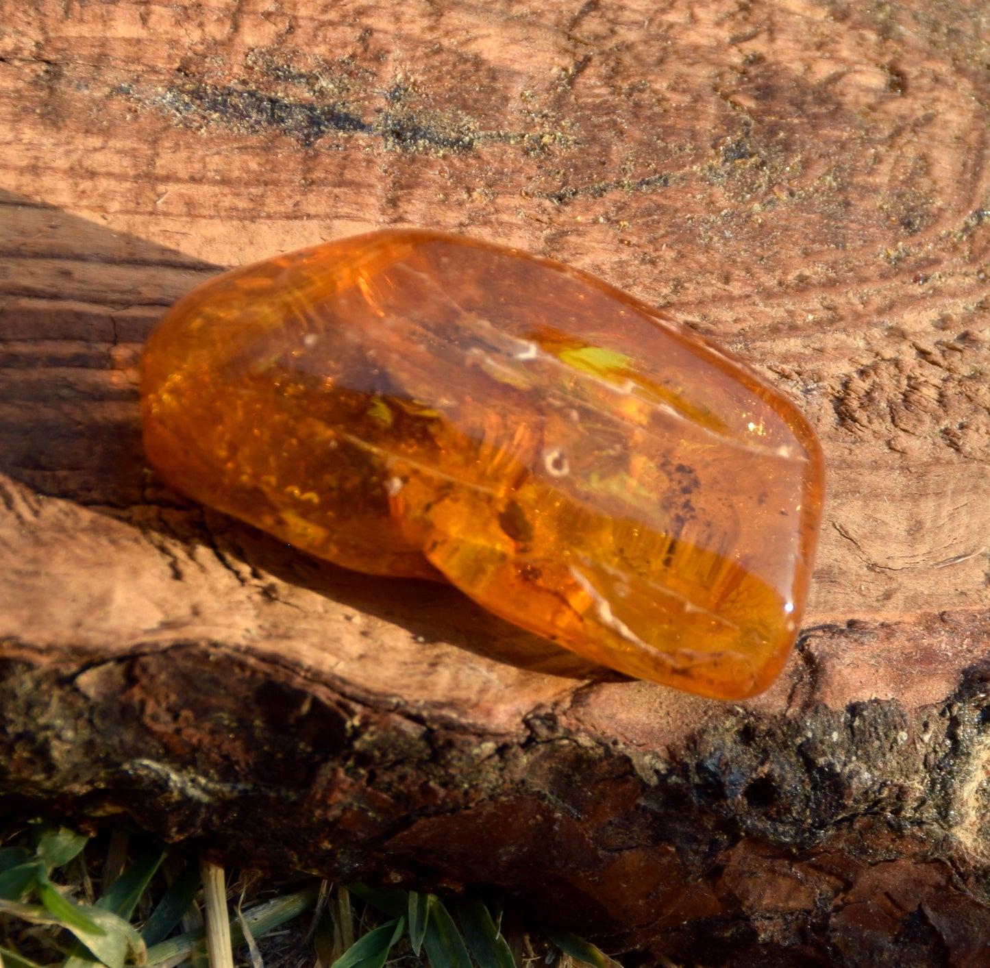 Large irregular natural Amber gemstone with fossil inclusions for collection, MJ Baltica, BW302