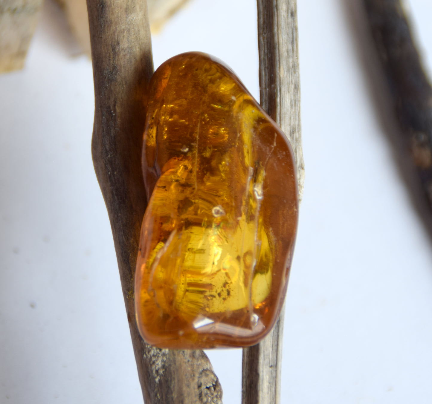 Large irregular natural Amber gemstone with fossil inclusions for collection, MJ Baltica, BW302