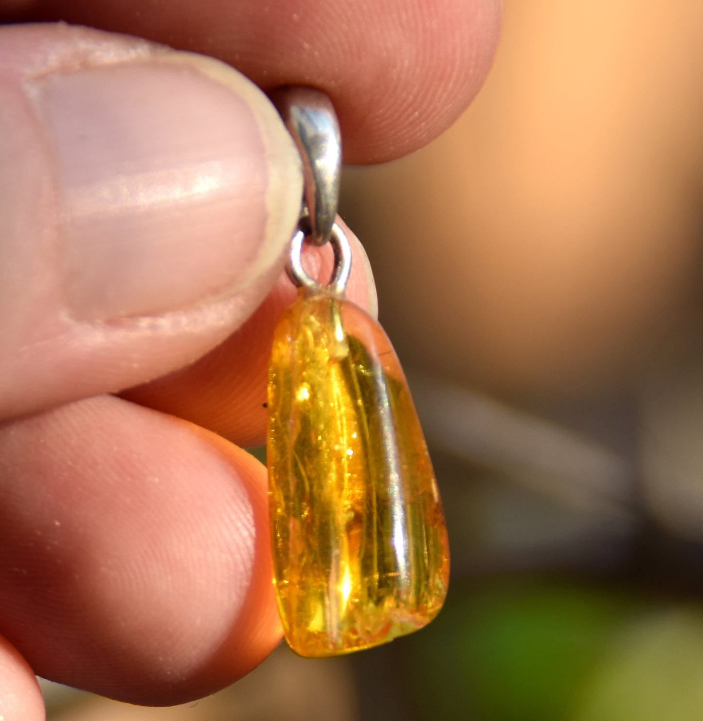 Collectible natural Baltic Amber gemstone pendant with fossil inclusions, MJ Baltica, BW304
