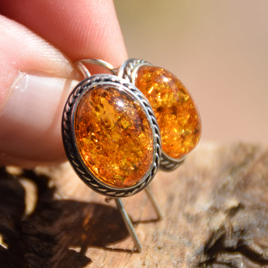 Classic oval ear wire earrings crafted with natural Cognac Amber and 925 Sterling Silver, MJ Baltica, BK018
