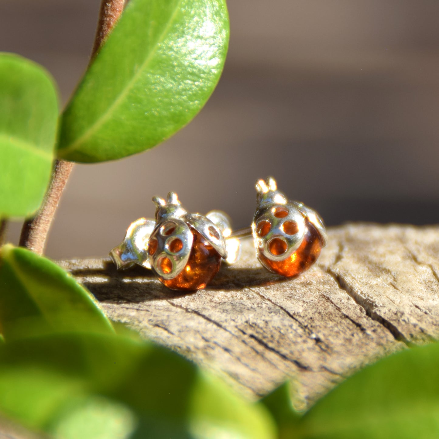 Delicate earrings with lucky ladybug in natural cognac-colored amber and 925 silver, MJ Baltica, BK035