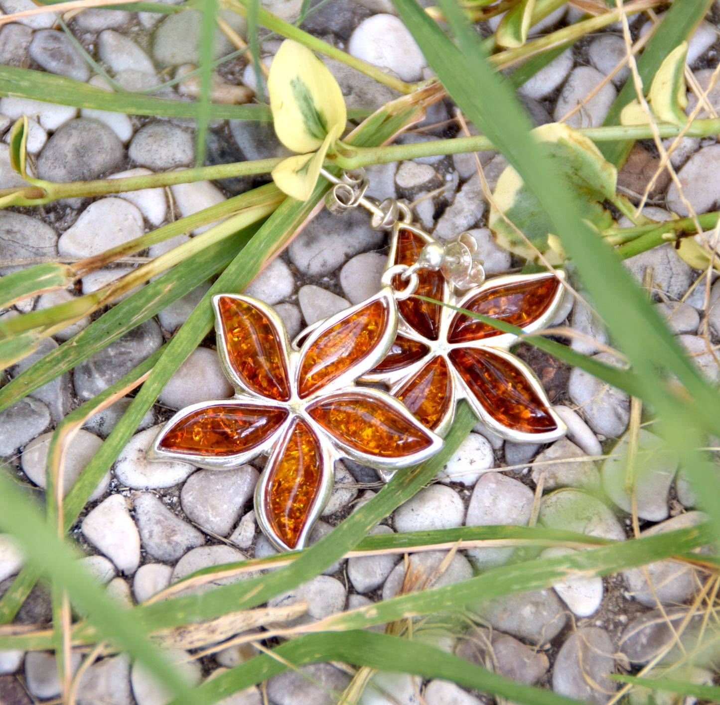 MJ Baltica, earrings, natural Baltic amber, 925 silver, flower, large, beautiful, BK050