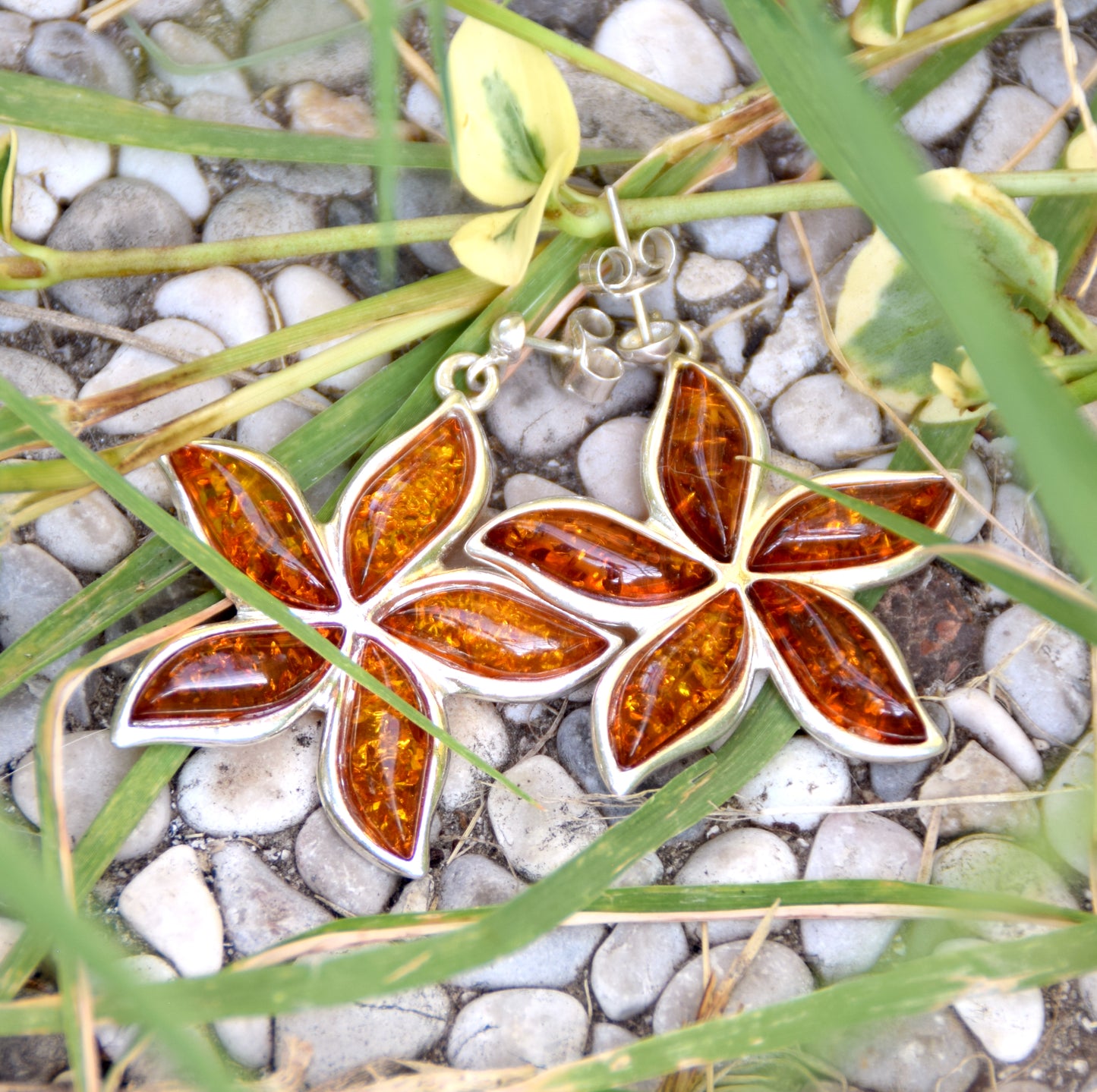 MJ Baltica, earrings, natural Baltic amber, 925 silver, flower, large, beautiful, BK050