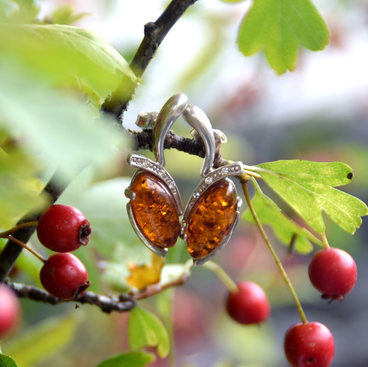 MJ Baltica, earrings, natural Baltic amber, 925 silver, delicate, elegant, feminine, cognac, zirconia, BK159