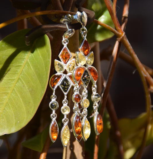 MJ Baltica, orecchini a lobo, Ambra naturale, Argento 925, elegante, luminoso, multicolore, BK218