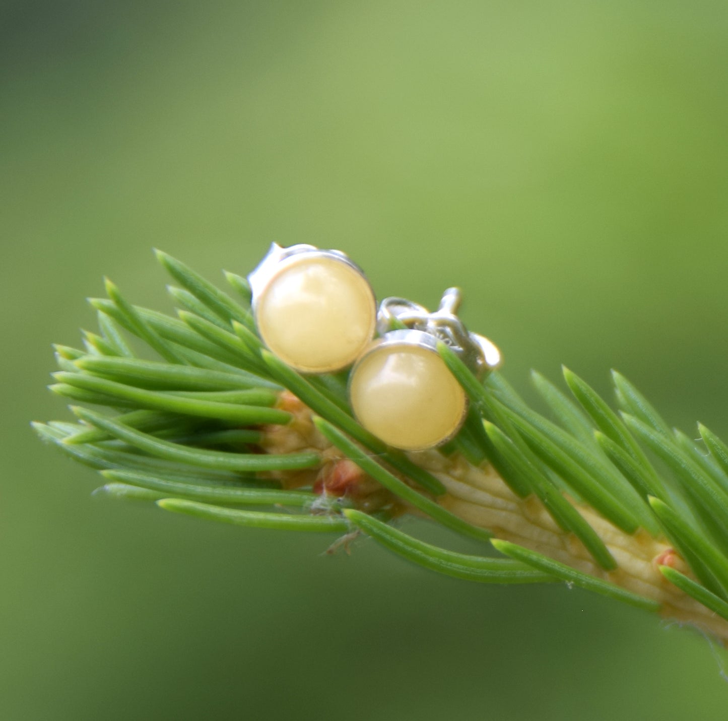 Essential round earrings created with natural Imperial Amber and 925 Silver, MJ Baltica, BK230