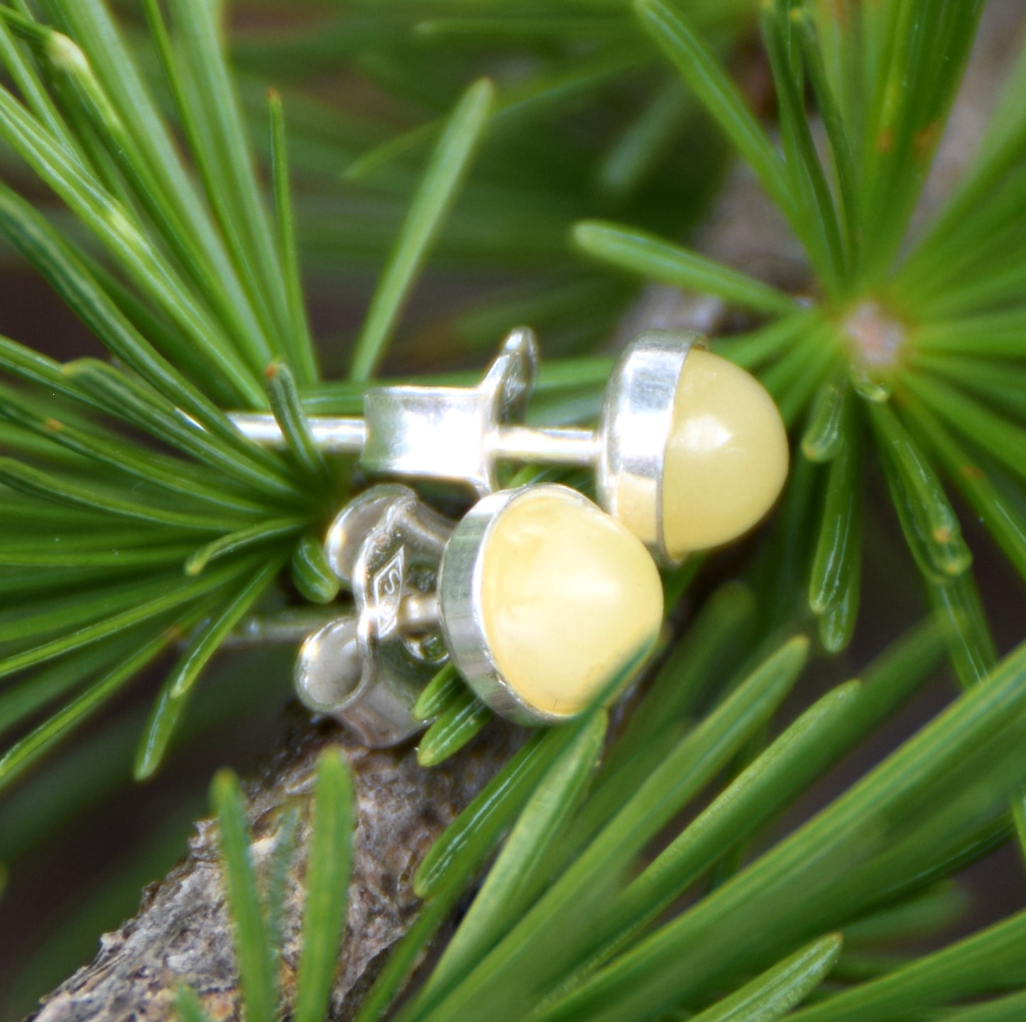 Essential round earrings created with natural Imperial Amber and 925 Silver, MJ Baltica, BK230