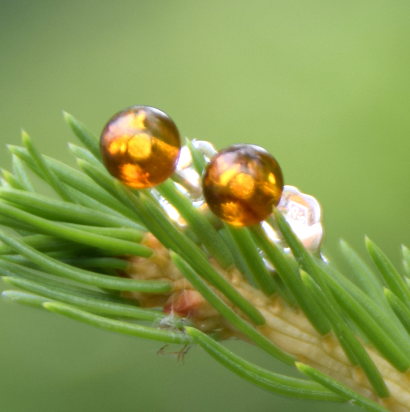 Essential earrings created with natural cognac-colored Amber spheres and 925 Silver, MJ Baltica, BK234