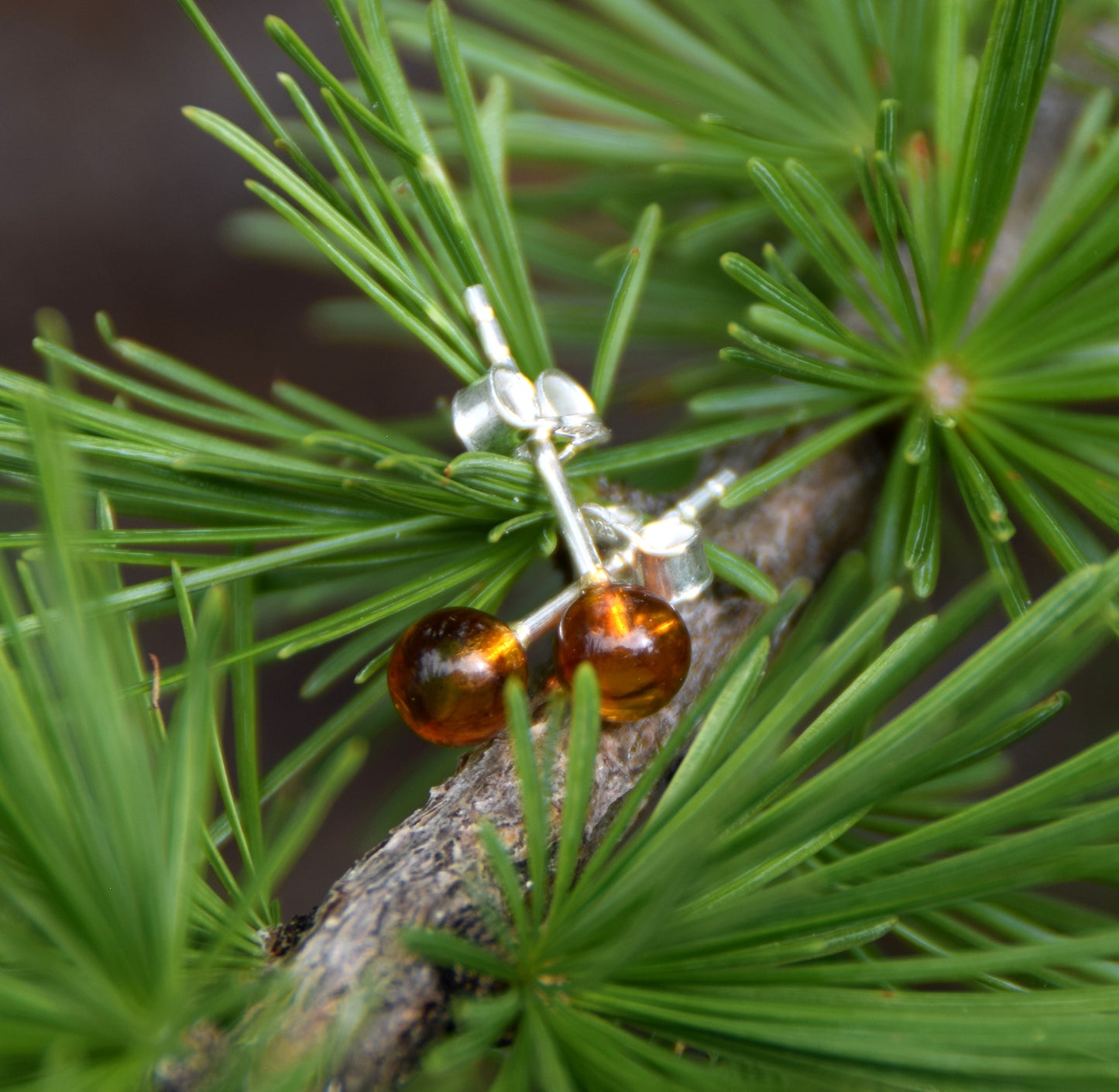 Essential earrings created with natural cognac-colored Amber spheres and 925 Silver, MJ Baltica, BK234