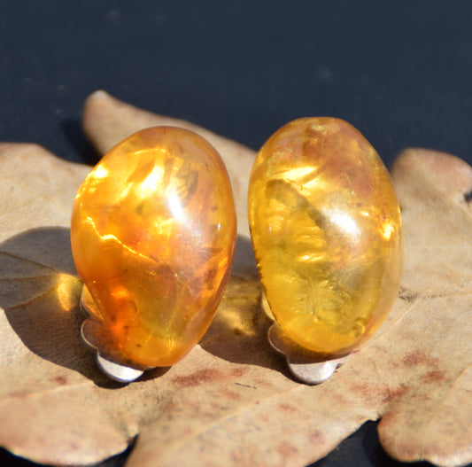 Orecchini a clip con Ambra naturale color oro grezza e Argento 925, MJ Baltica, BKK027