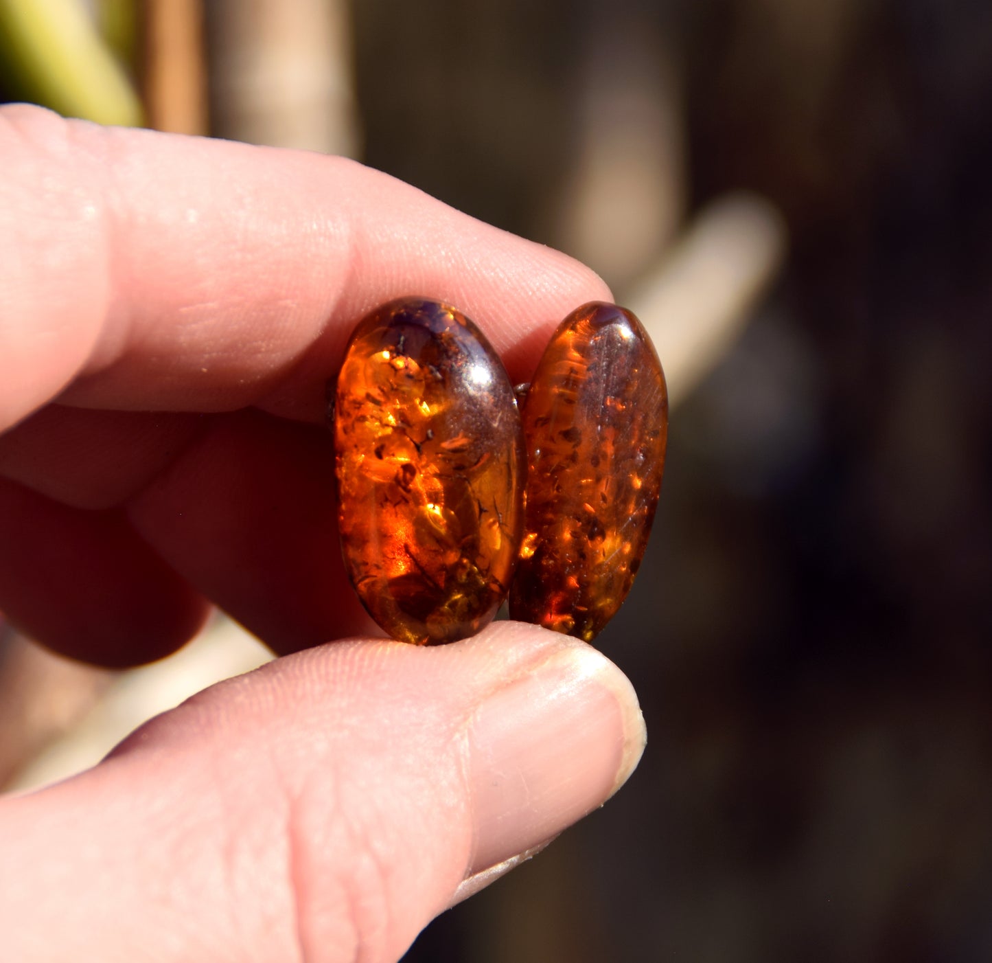 Orecchini a clip con Ambra naturale color marrone grezza e Argento 925, MJ Baltica, BKK033