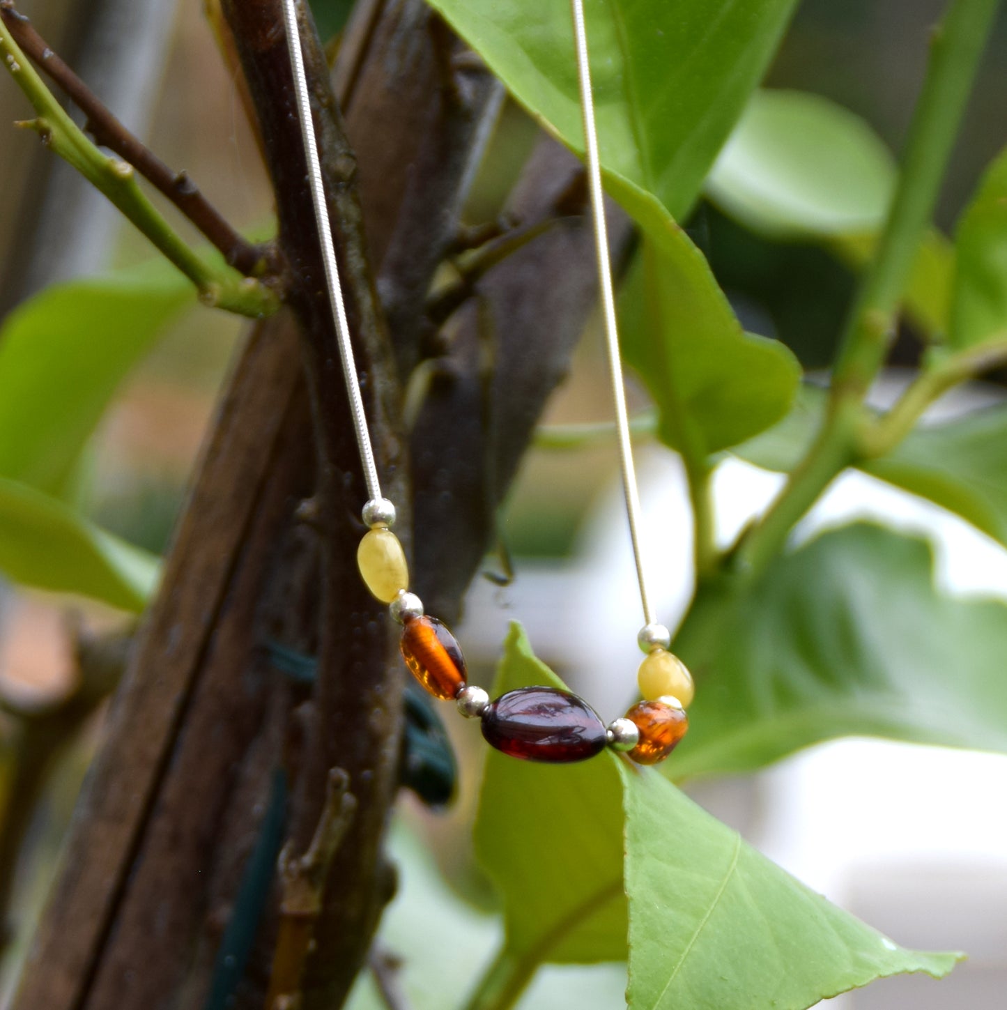 MJ Baltica, necklace, choker, natural Baltic Amber, 925 Silver, fisto, essential, bright, beautiful, BKo039