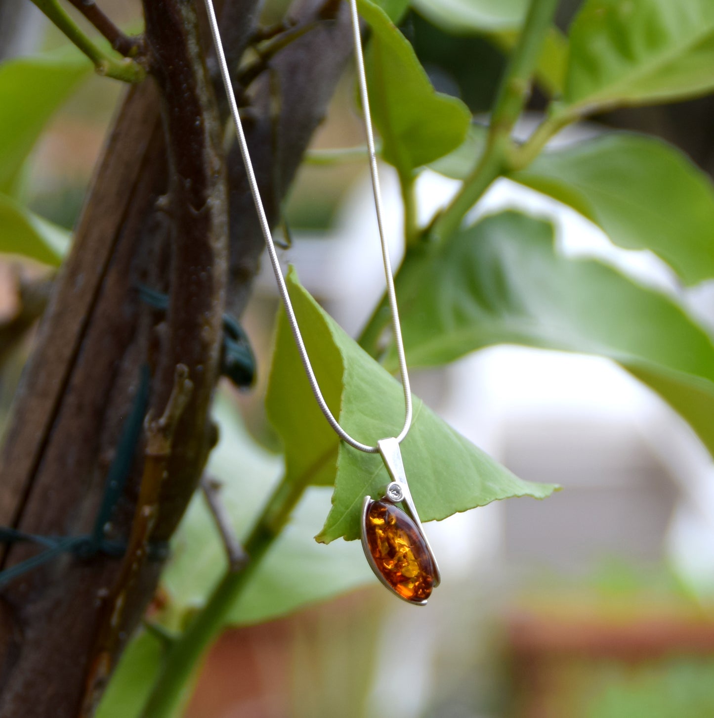 MJ Baltica, necklace, choker, natural Baltic amber, 925 silver, elegant, luminous, zirconia, feminine, BKo051