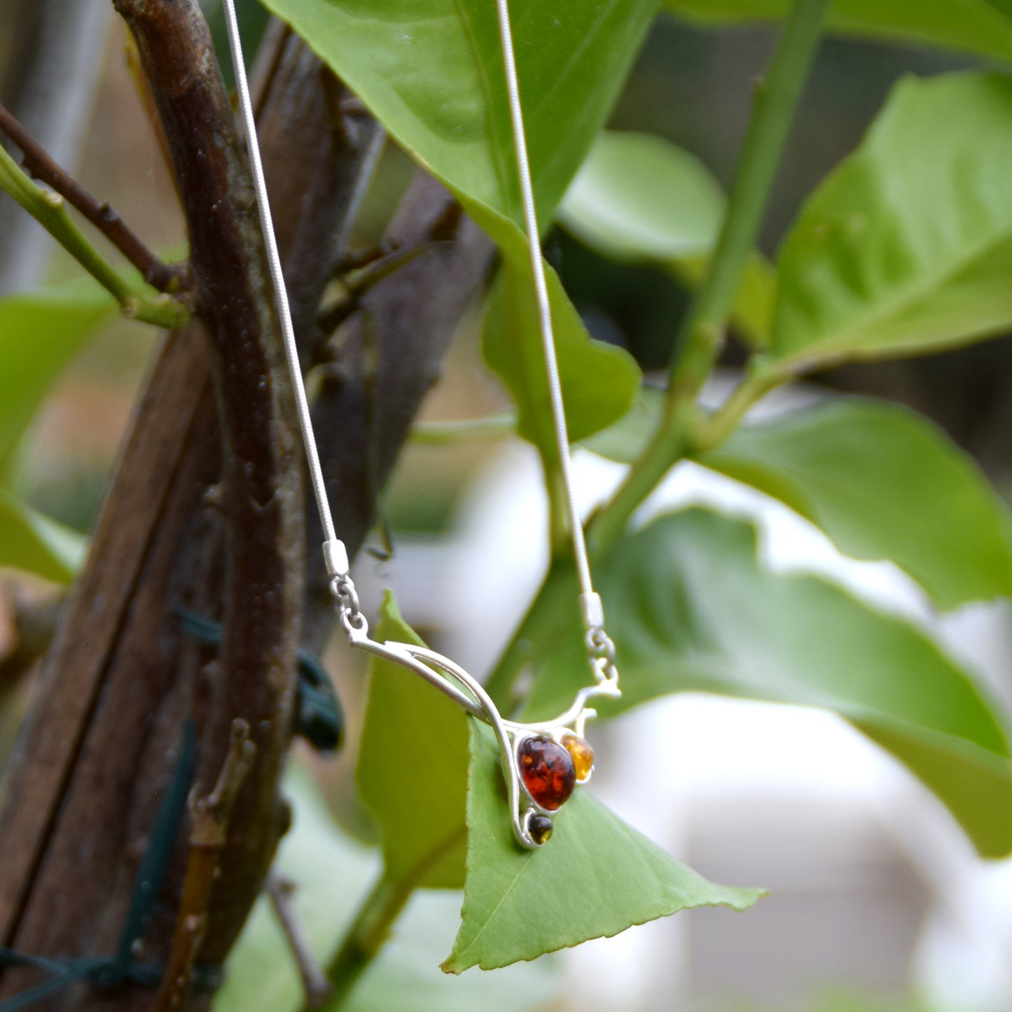 MJ Baltica, necklace, choker, natural Baltic amber, 925 silver, BKo055