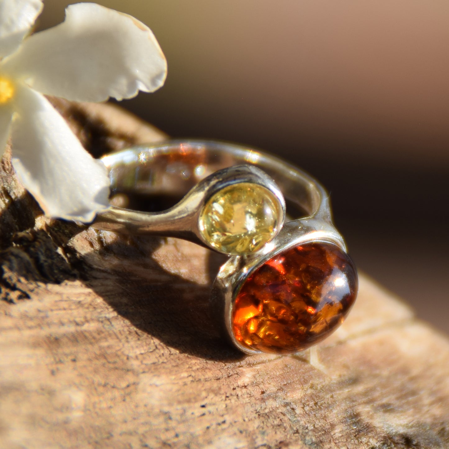 Elegant adjustable ring made of natural Amber in various shades and 925 Silver, MJ Baltica, BP015