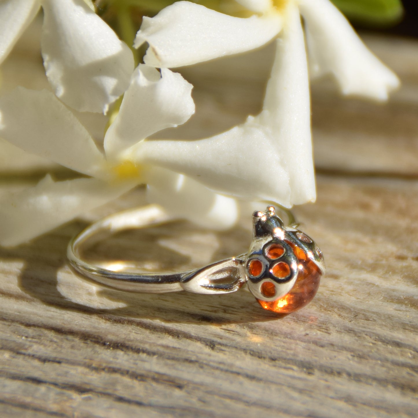 Delicate ring with a lucky ladybug in cognac-colored natural Amber and 925 Silver, MJ Baltica, BP016