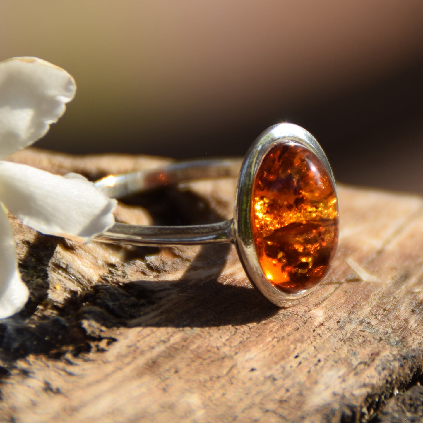 Strahlender Ring im Essential-Stil mit cognacfarbenem Naturbernstein und 925er Silber, MJ Baltica, BP099