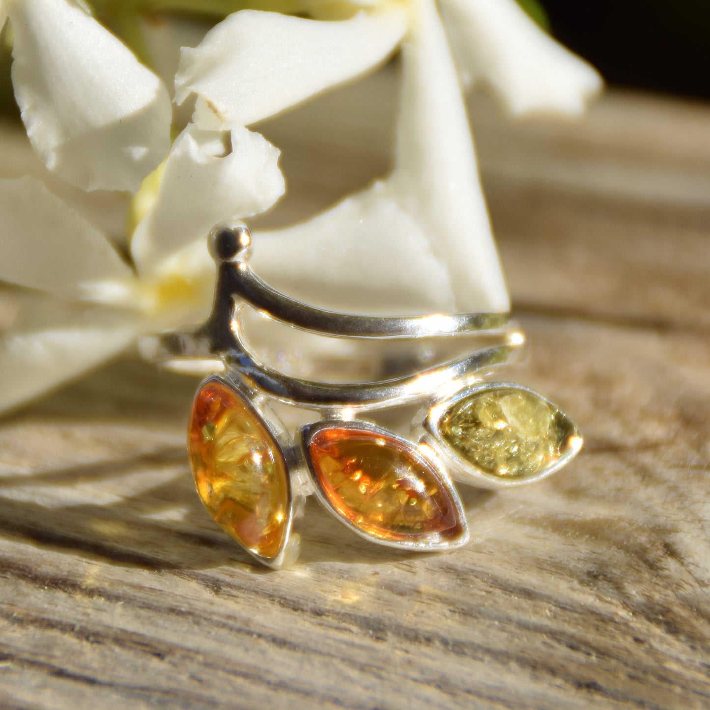 Floral band ring in various shades of natural Amber and 925 Silver, MJ Baltica, BP140