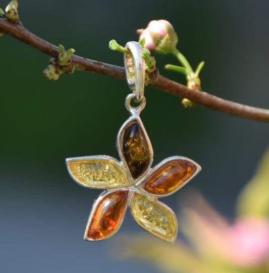 MJ Baltica, ciondolo, Ambra naturale Baltica, Argento 925, fiore, multicolore BW052