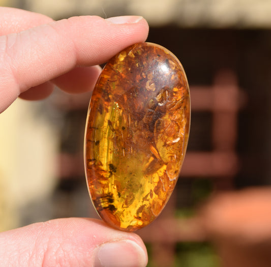 MJ Baltica, Ambra baltica Naturale, con le inclusioni, insetti, da collezione, grande, unica, bellissima BW095