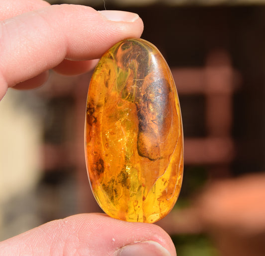 MJ Baltica, gemma di Ambra naturale Baltica, con inclusioni, con insetti, preistorici, da incastonare, da collezione, BW096