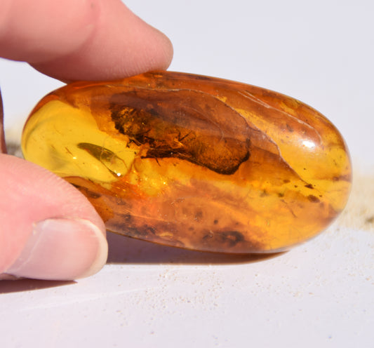 Large Natural Baltic Amber Gemstone with Fossil Inclusions for Collectors, MJ Baltica, BW096