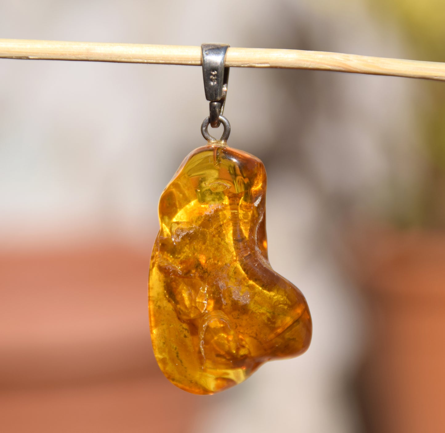 Pendant with Natural Baltic Amber gemstone with fossil inclusions for collection, MJ Baltica, BW105