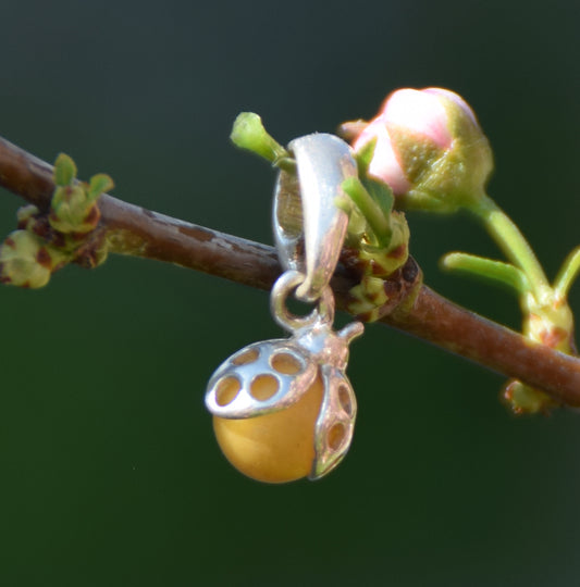 MJ Baltica, ciondolo, Ambra naturale Baltica, Argento 925, coccinella, artigianale, dolce, ambra imperiale, BW140