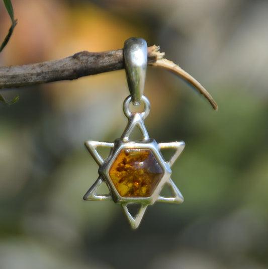 MJ Baltica, ciondolo, Ambra naturale Baltica, Argento 925, ovale, artigianale, delicato, BW143