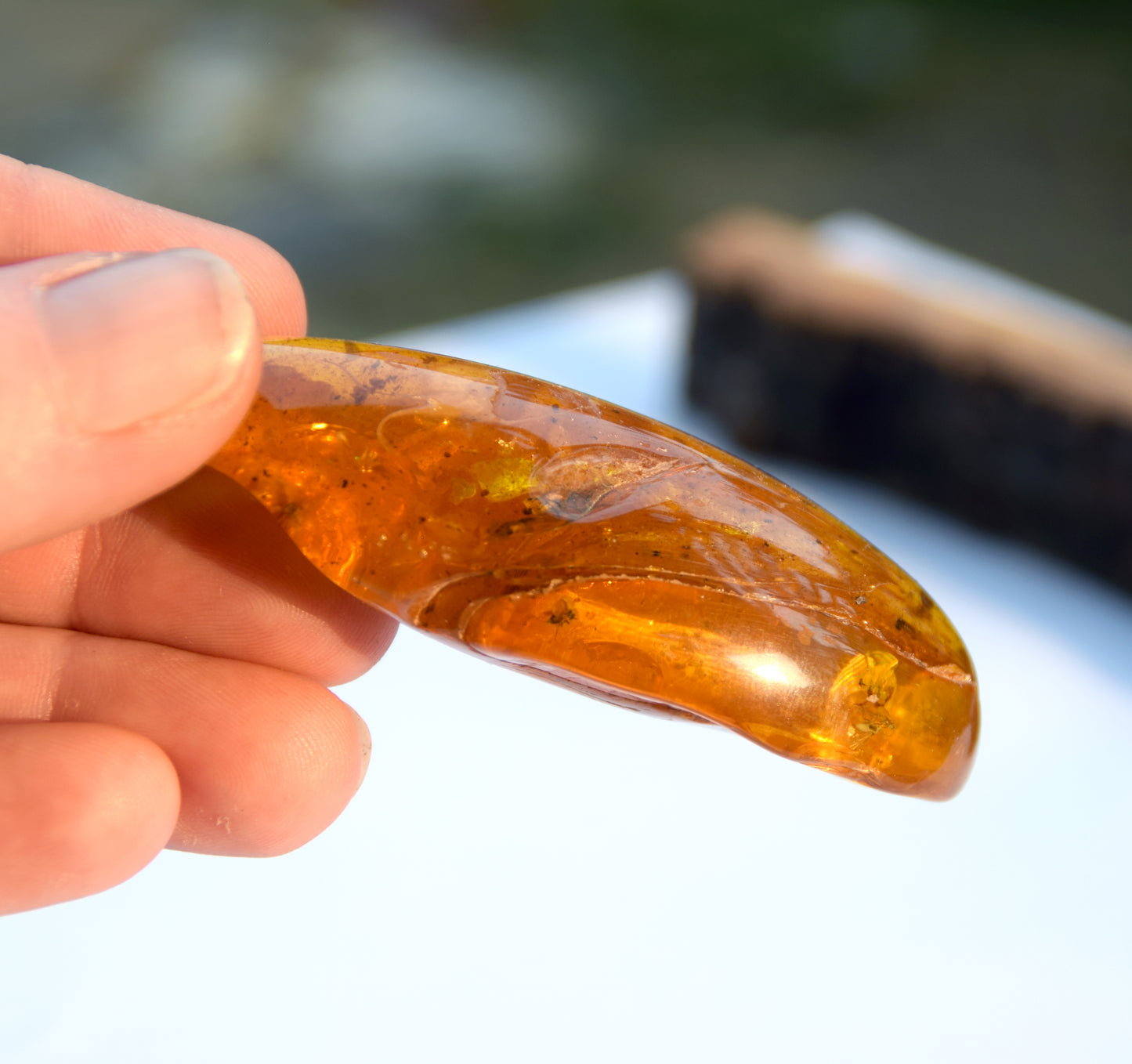 Large natural drop-shaped Amber gemstone with fossil inclusions from a collection, MJ Baltica, BW301