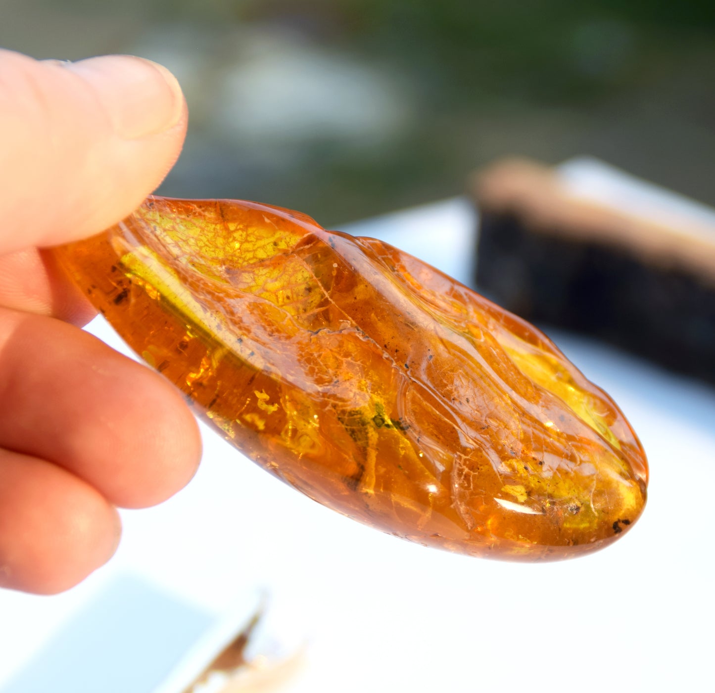 Large natural drop-shaped Amber gemstone with fossil inclusions from a collection, MJ Baltica, BW301
