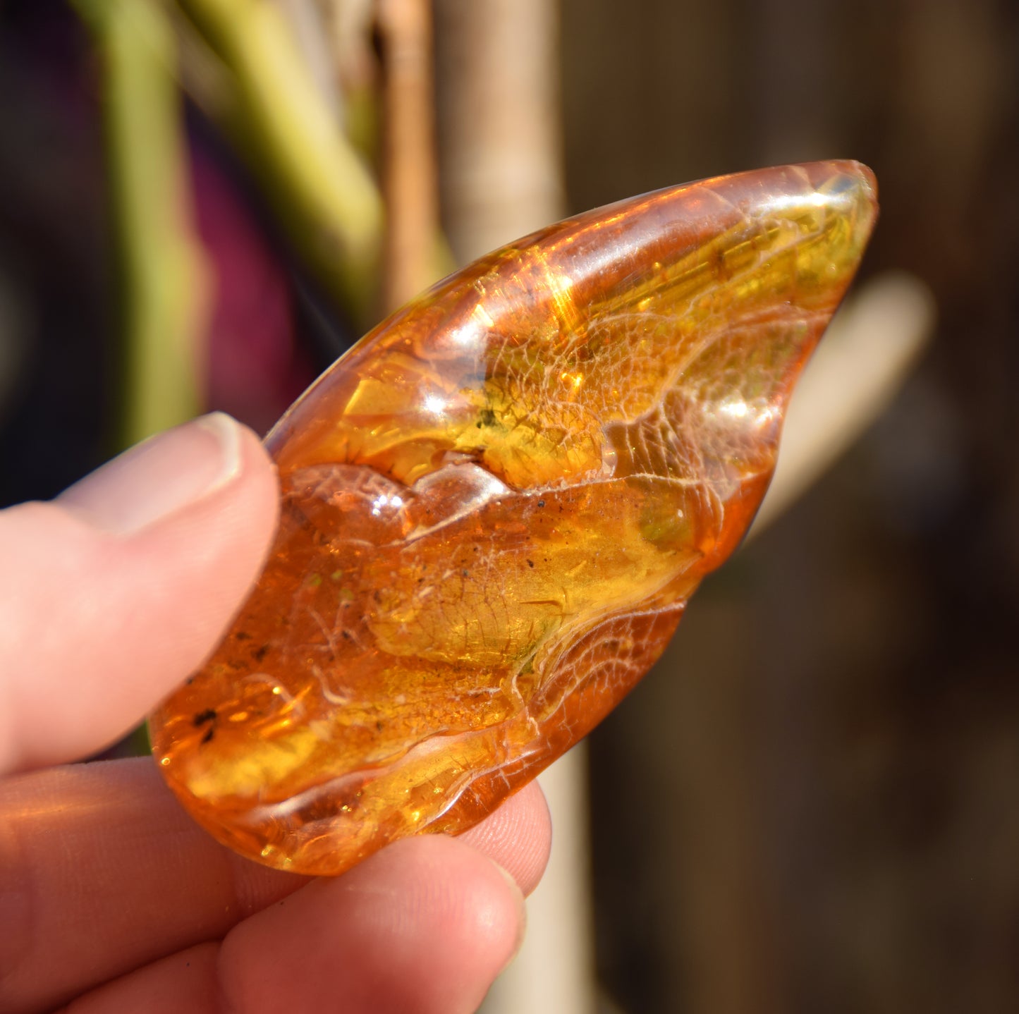 Large natural drop-shaped Amber gemstone with fossil inclusions from a collection, MJ Baltica, BW301