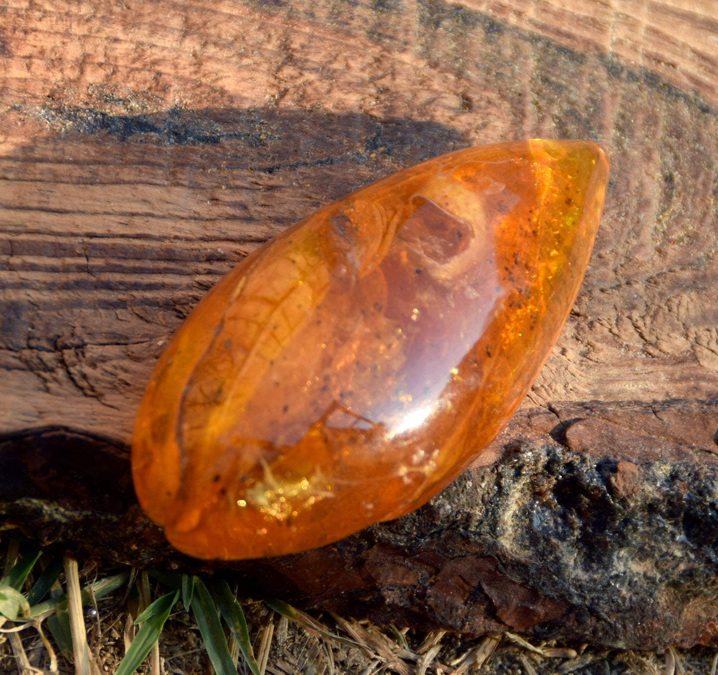 Large natural drop-shaped Amber gemstone with fossil inclusions from a collection, MJ Baltica, BW301