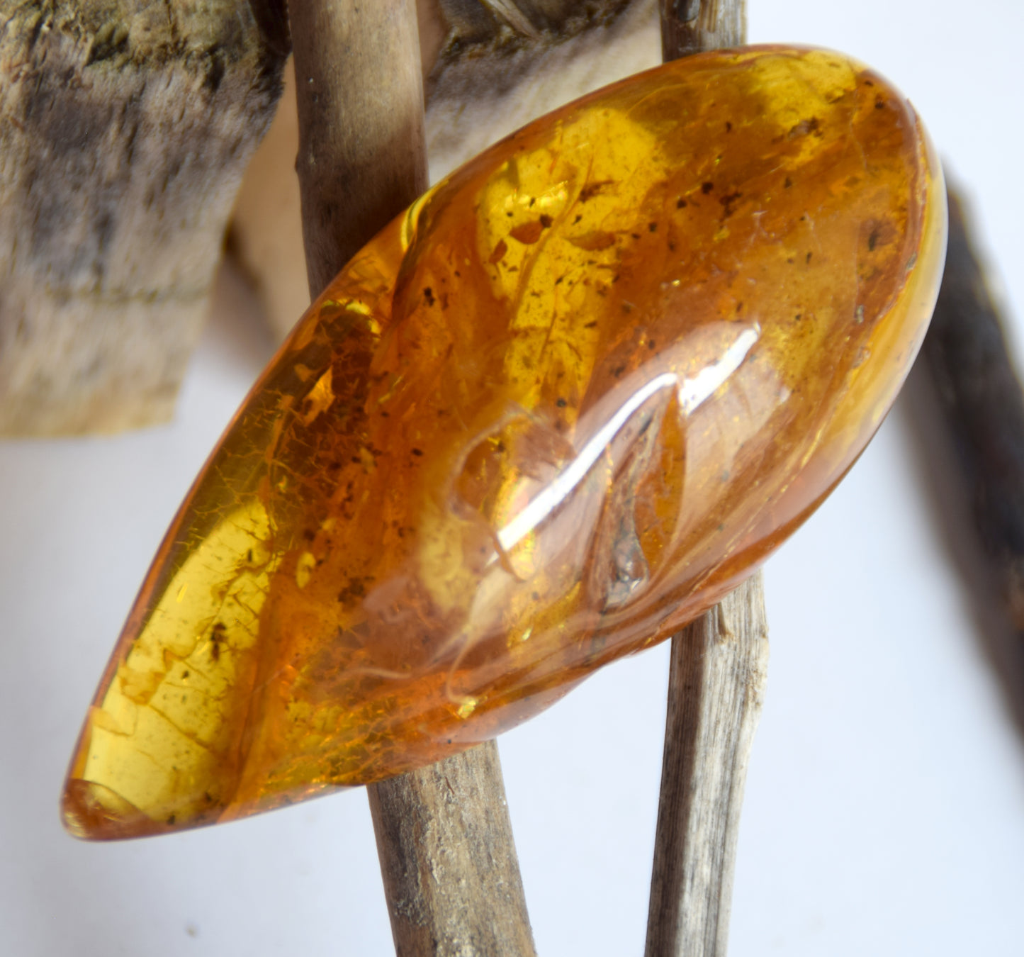 Large natural drop-shaped Amber gemstone with fossil inclusions from a collection, MJ Baltica, BW301