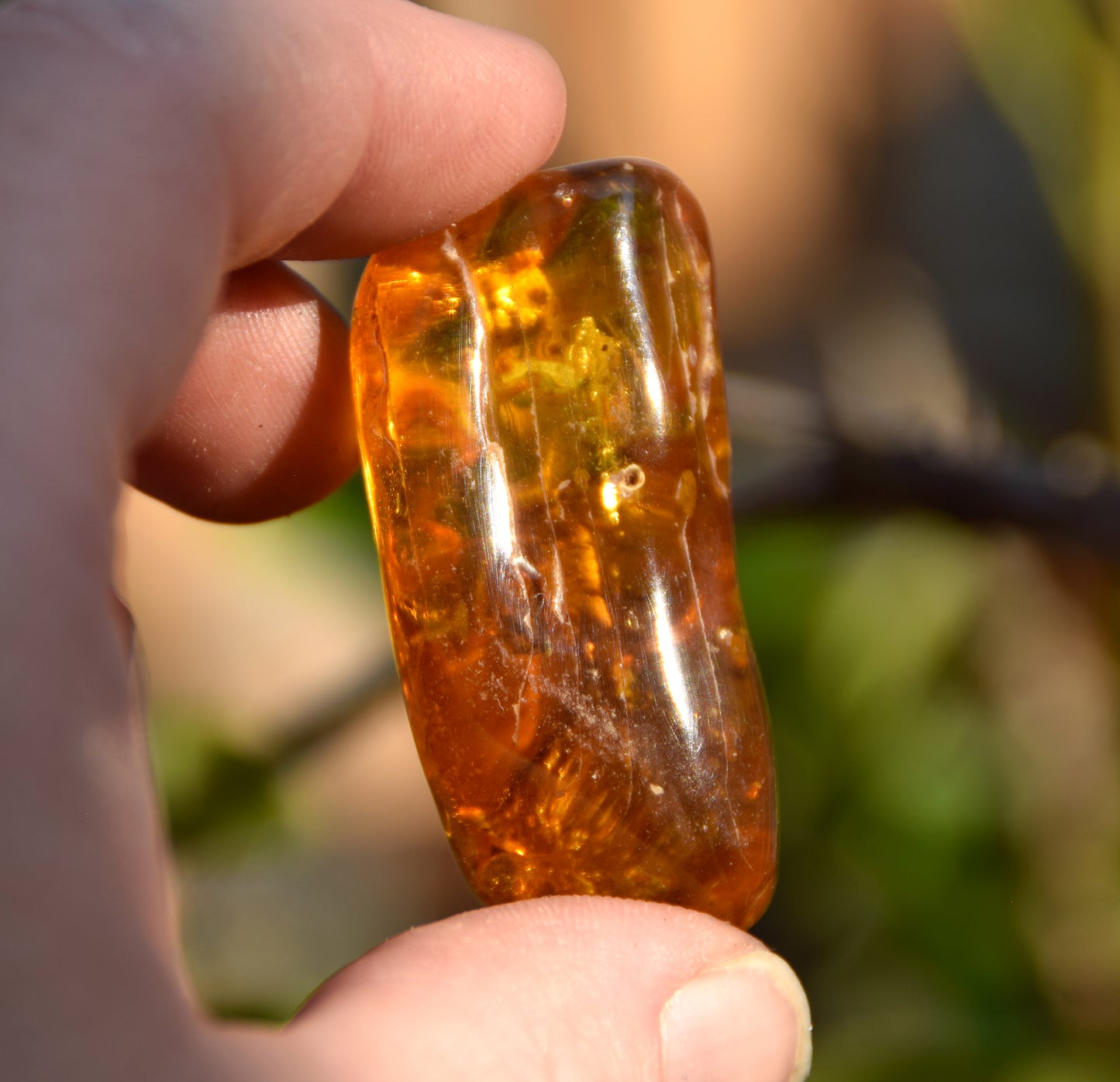 Large irregular natural Amber gemstone with fossil inclusions for collection, MJ Baltica, BW302
