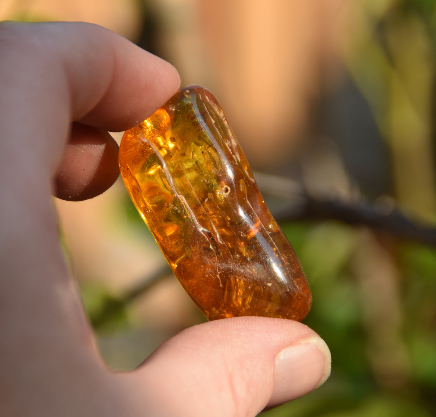Large irregular natural Amber gemstone with fossil inclusions for collection, MJ Baltica, BW302
