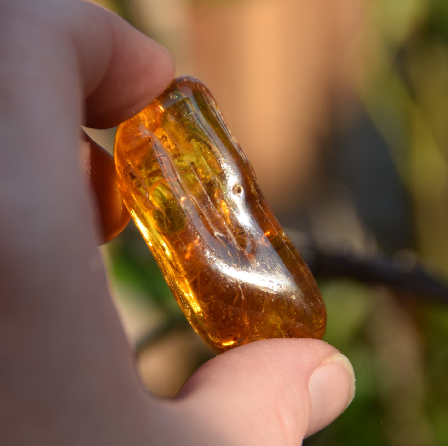 Large irregular natural Amber gemstone with fossil inclusions for collection, MJ Baltica, BW302