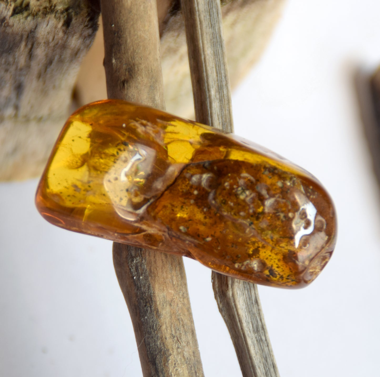 Large irregular natural Amber gemstone with fossil inclusions for collection, MJ Baltica, BW302