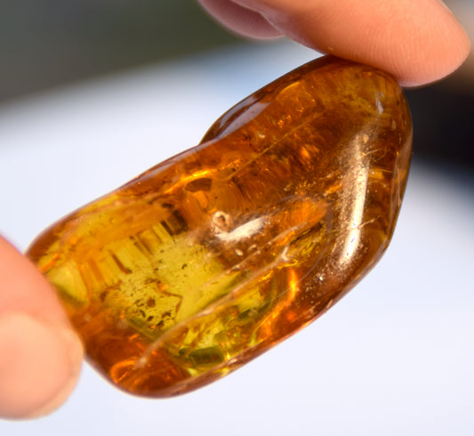 Large irregular natural Amber gemstone with fossil inclusions for collection, MJ Baltica, BW302
