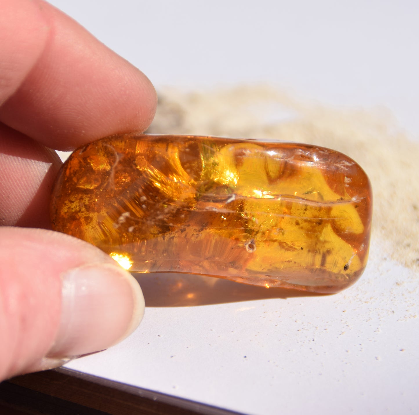 Large irregular natural Amber gemstone with fossil inclusions for collection, MJ Baltica, BW302