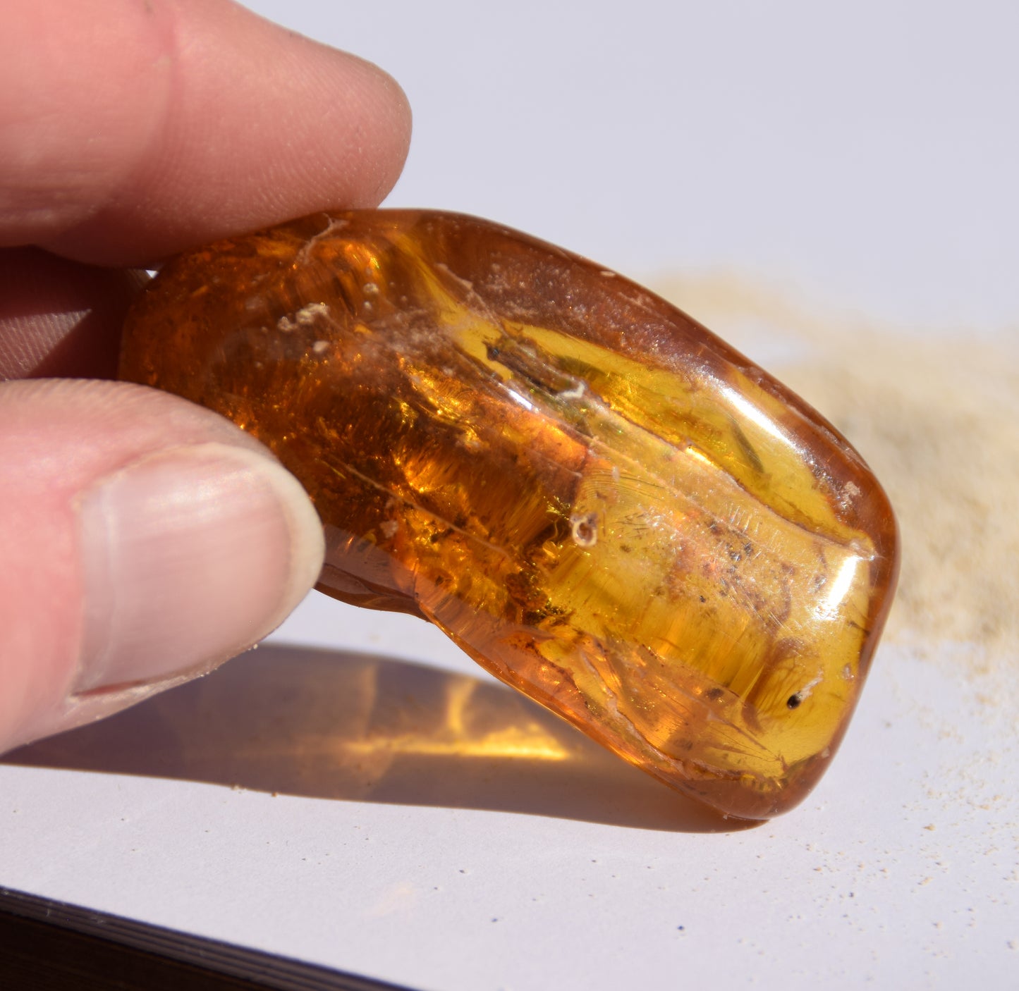 Large irregular natural Amber gemstone with fossil inclusions for collection, MJ Baltica, BW302
