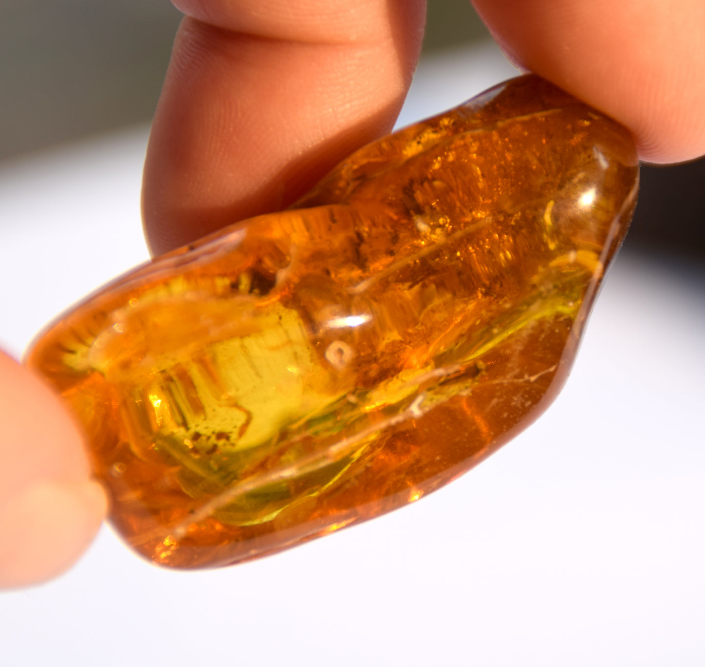 Large irregular natural Amber gemstone with fossil inclusions for collection, MJ Baltica, BW302