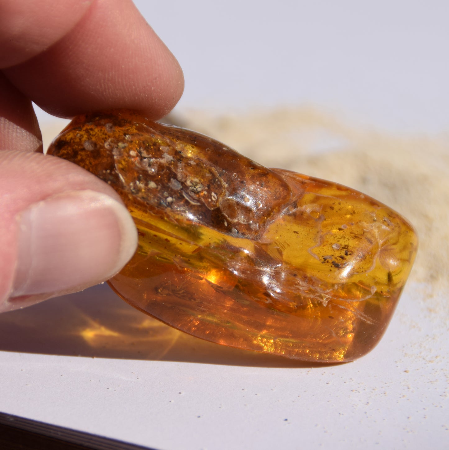 Large irregular natural Amber gemstone with fossil inclusions for collection, MJ Baltica, BW302
