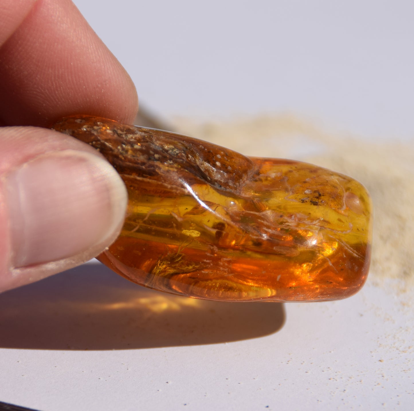 Large irregular natural Amber gemstone with fossil inclusions for collection, MJ Baltica, BW302