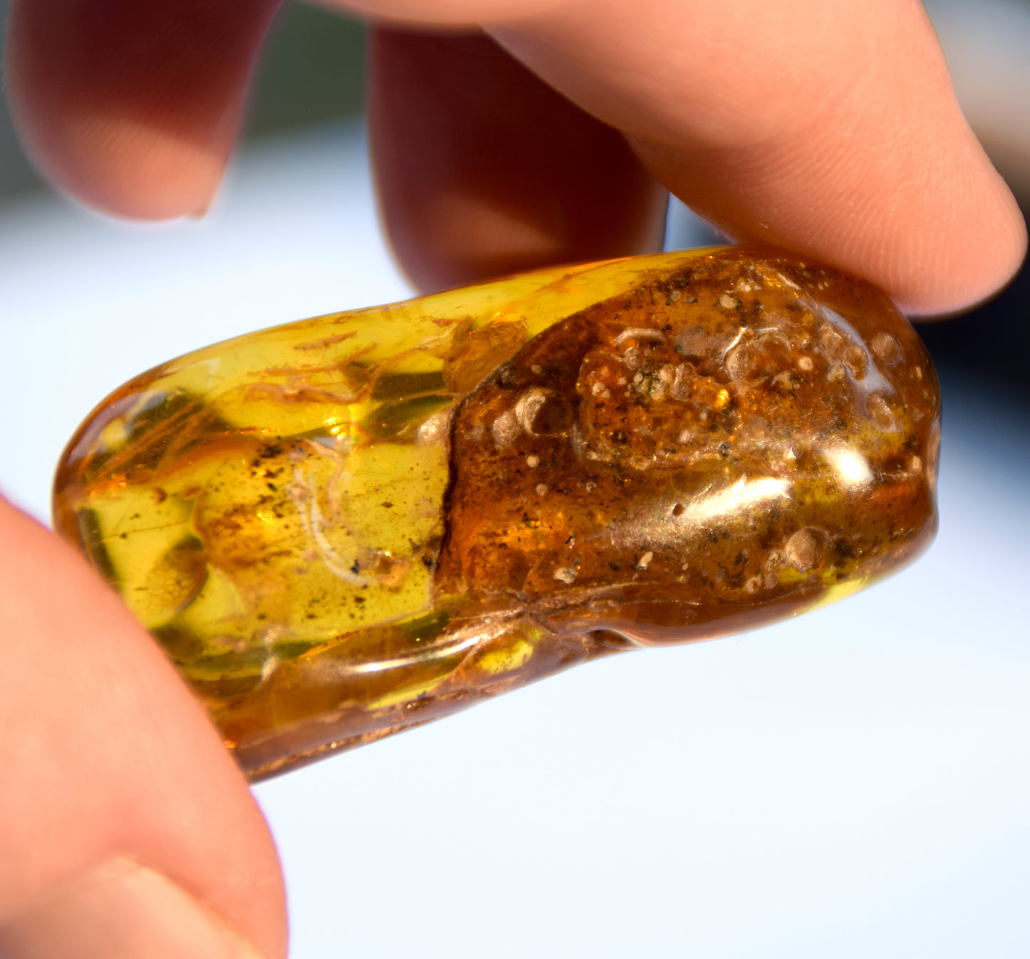 Large irregular natural Amber gemstone with fossil inclusions for collection, MJ Baltica, BW302