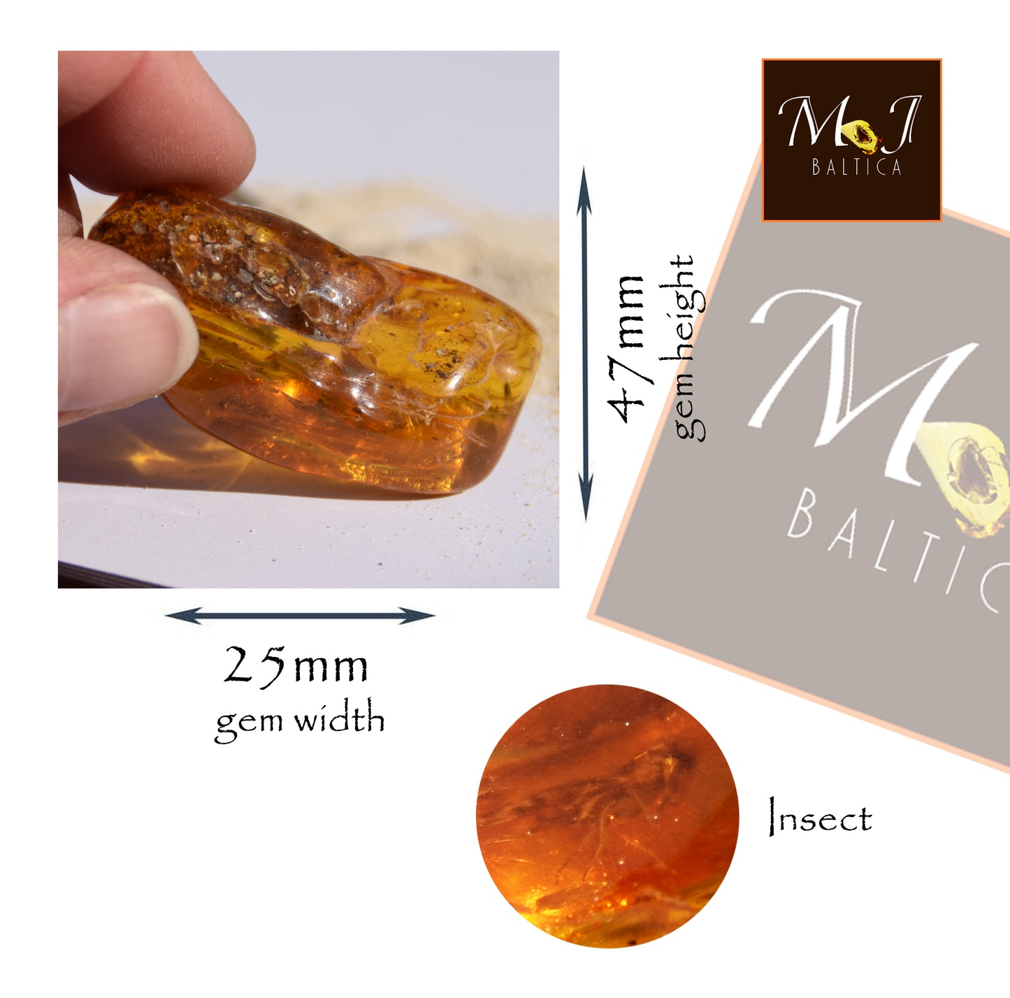 Large irregular natural Amber gemstone with fossil inclusions for collection, MJ Baltica, BW302