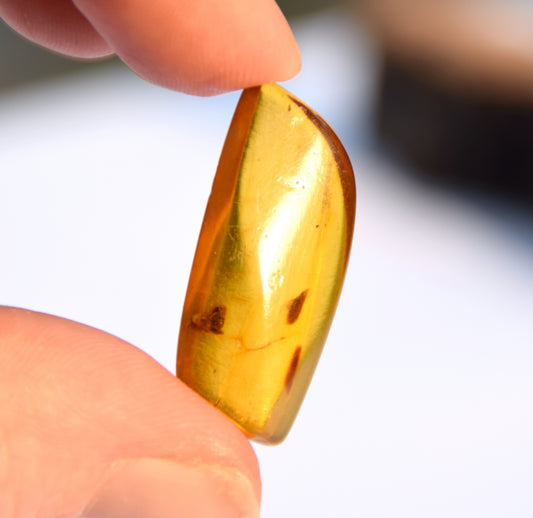 Irregularly shaped natural Amber gem with fossil inclusions for collection, MJ Baltica, BW303